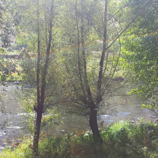 Georgia, September 2015